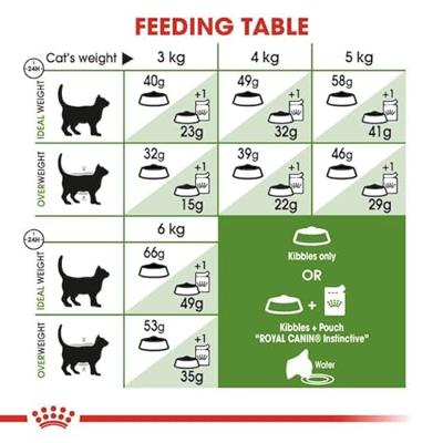 ROYAL CANIN Outdoor Adult - droog kattenvoer - 400g