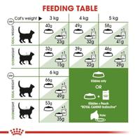 ROYAL CANIN Outdoor Adult - droog kattenvoer - 400g - thumbnail