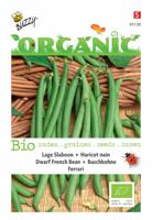 Zaden Organic Stamslabonen Ferrari (BIO) Buzzy - Buzzy - thumbnail