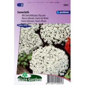 Lobularia Maritima zaden Snowcloth Schildzaad Lobularia Maritima zaden Snowcloth Schildzaad