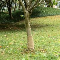 VidaXL Jute rol 200 g/m² 0,25x15 m 100% jute - thumbnail