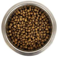 YOURDOG KONINGSPOEDEL PUP 3 KG - thumbnail