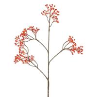 Kunstbes Verti oranje - thumbnail