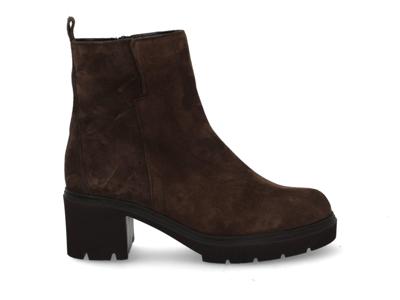 Gabor 71.874.18 engl brown Bruin maat 42