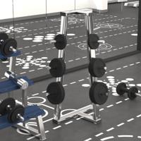 Halterschijven 6 st 30 kg gietijzer - thumbnail