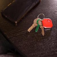 Shelly blu button1 knop (wit) - thumbnail