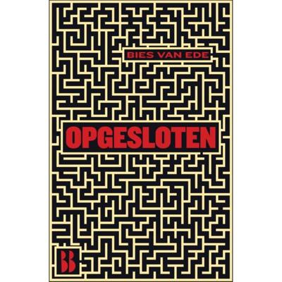 De tweede stem (Hardback)