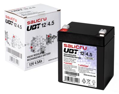 Batterij voor Ononderbreekbaar Stroomvoorzieningssysteem SAI Salicru 013BS000006 VRLA 4.5 Ah 12 V 12V - thumbnail