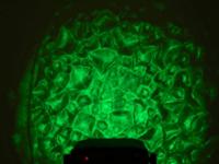 Eurolite LED WF-30 water lichteffect - thumbnail