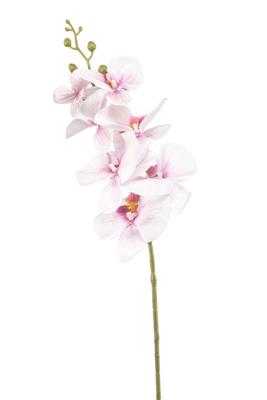 Emerald kunsttak phalaenopsis 84cm roze