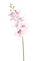 Emerald kunsttak phalaenopsis 84cm roze - thumbnail