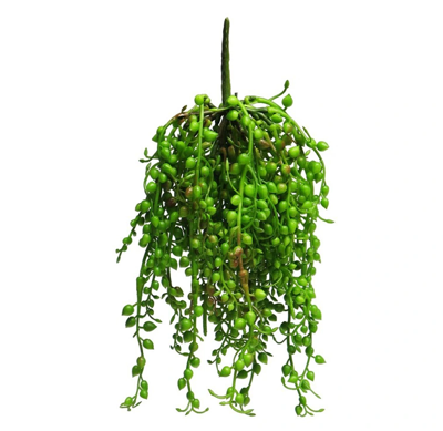 Senecio Rowleyanus hanger green 25 cm kunstbloem Erutan Avon - Erutan avon Senecio Rowleyanus hanger green 25 cm kunstbloem Erutan Avon - Erutan avon