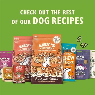 LILY'S KITCHEN DOG ORGANIC CHICKEN SUPPER 11X150 GR - thumbnail