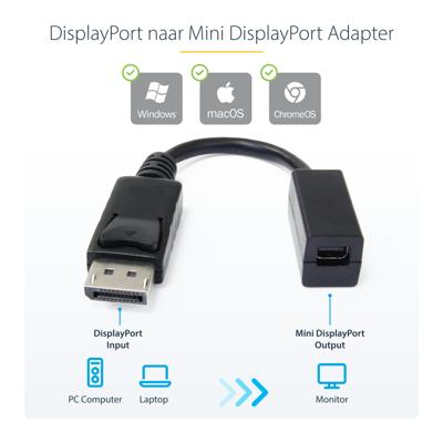 DP2MDPMF6IN - DisplayPort-adapter - DisplayPort (M) naar Mini DisplayPort (V) - 15.2 cm - gevormd - voor P/N: SV231DPUA DP2MDPMF6IN - DisplayPort-adapter - DisplayPort (M) naar Mini DisplayPort (V) - 15.2 cm - gevormd - voor P/N: SV231DPUA