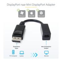 DP2MDPMF6IN - DisplayPort-adapter - DisplayPort (M) naar Mini DisplayPort (V) - 15.2 cm - gevormd - voor P/N: SV231DPUA - thumbnail