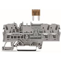 WAGO 2002-1781 Zekeringklem 5.20 mm Push-In-klem Grijs 50 stuk(s) - thumbnail