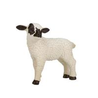 Mojo farmland zwartkopschaap lam 387059 - thumbnail