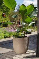 Capi nature bol rib nl bloempot 43x41 cm beige - thumbnail