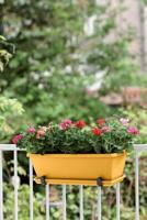 Elho Barcelona trough balkonbak 50 honey yellow - thumbnail