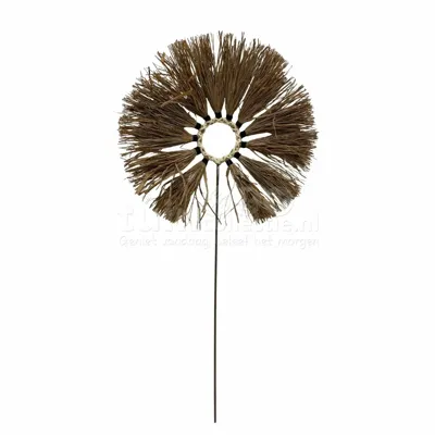 Decoratieblad Zeegras Naturel 78cm