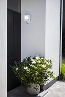 Lutec Esa LED-Sensorlamp (wit) - thumbnail