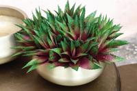 PTMD Pot 'Caylin', Aluminium, 18 x 40cm, kleur Goud - thumbnail