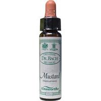 Ainsworths Mustard Bach 10 Milliliter - thumbnail