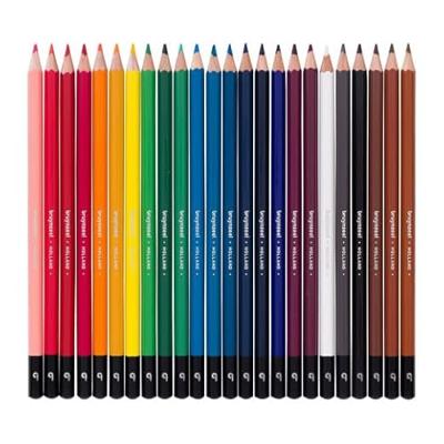 Bruynzeel kleurpotloden blik, 24 kleuren