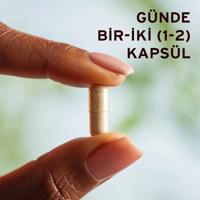 Solgar Ginkgo Biloba Leaf Extract Capsules - thumbnail