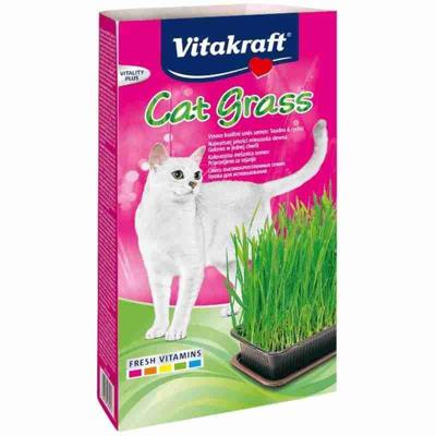 VITAKRAFT Kattengras - Kit voor katten - 120 g