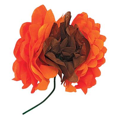 Colorations - crepepapier - 50 vellen Colorations - crepepapier - 50 vellen