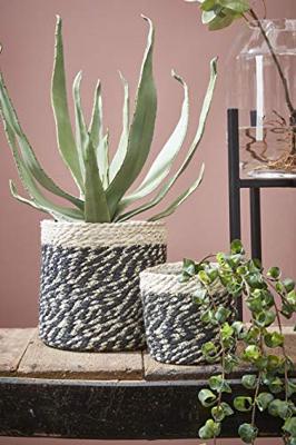 Mica mand bonaparte zwart 20 cm | 12 stuks