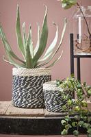 Mica mand bonaparte zwart 20 cm | 12 stuks - thumbnail