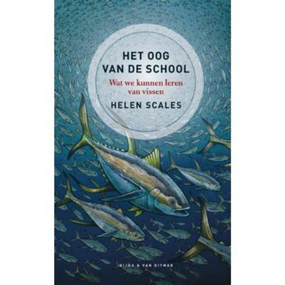 Het oog van de school: Wat we kunnen leren van vissen