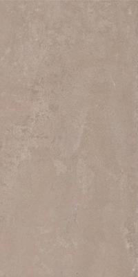 Century Titan Vloertegel | 60x120 cm | Gerectificeerd | Betonlook | Mat Bruin