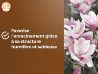 Potgrond OR BRUN 6 L - thumbnail