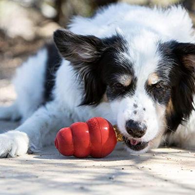 KONG SNACKS MET LEVERSMAAK LARGE 300 GR - thumbnail