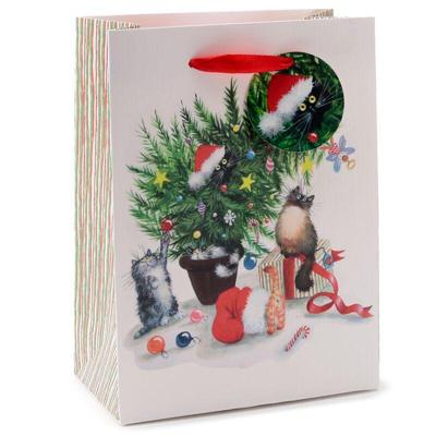 Kim Haskins Kerst Katten - Cadeautasje Medium