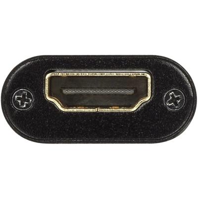 SpeaKa Professional Repeater HDMI Via signaalkabel 40 m