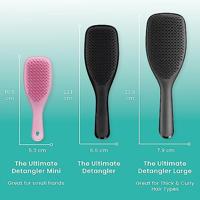 The Wet Detangler Wet Detangling Brush - thumbnail