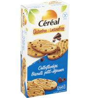 Ontbijtkoekjes glutenvrij - thumbnail