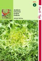 Zaden Andijvie Altijd Witte Hortitops - Hortitops - thumbnail
