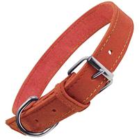 Hondenhalsband Gloria Oasis Wit (55 x 2,5 cm) - thumbnail