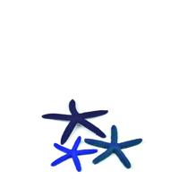 BiOrb zeester set 3 blauw aquarium decoratie - thumbnail