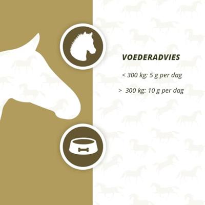 Excellent Horse Probiotics 600 g
