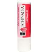 Jacob Hooy Lippenbalsem Echinacea