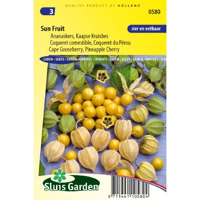 Ananaskers zaden SunFruit - thumbnail