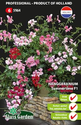 Hanggeranium Summertime F1 zaden
