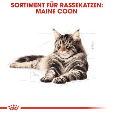 Royal Canin - Royal Canin Light Weight Care - 400 g