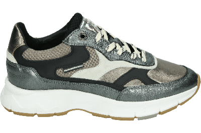 Floris van Bommel DAYSI 03.08 - alle